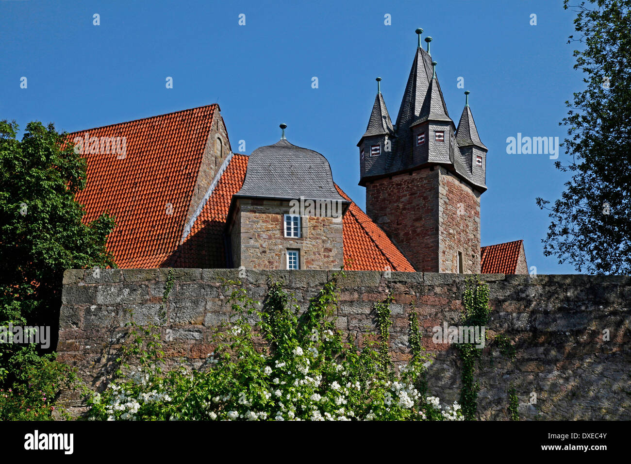 Giardino di Rose e Spangenberg Castello, Spangenberg, Schwalm-Eder distretto, Hesse, Germania Foto Stock