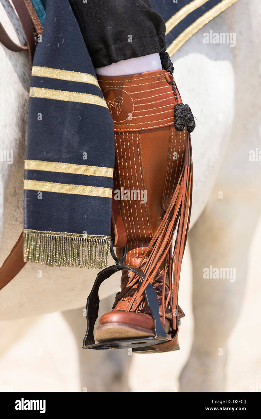 Puro Cavallo Spagnolo andaluso. Tradizionale spagnolo stivali da cavallo e  staffa-ferro da stiro Foto stock - Alamy