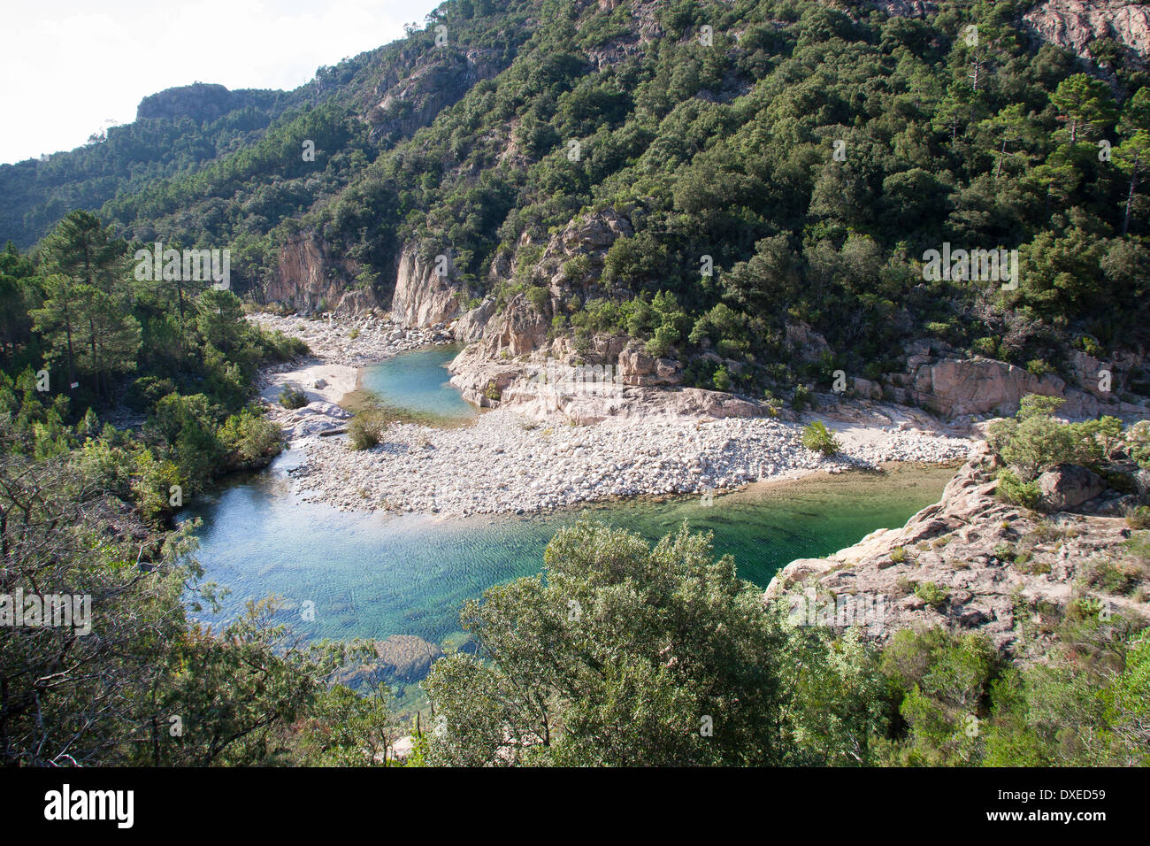 Brook, rivolo, crystal clear stream, Ruscello di montagna, Bach, kristallklarer Bach, Gebirgsbach, Korsika, Corse, Francia Foto Stock