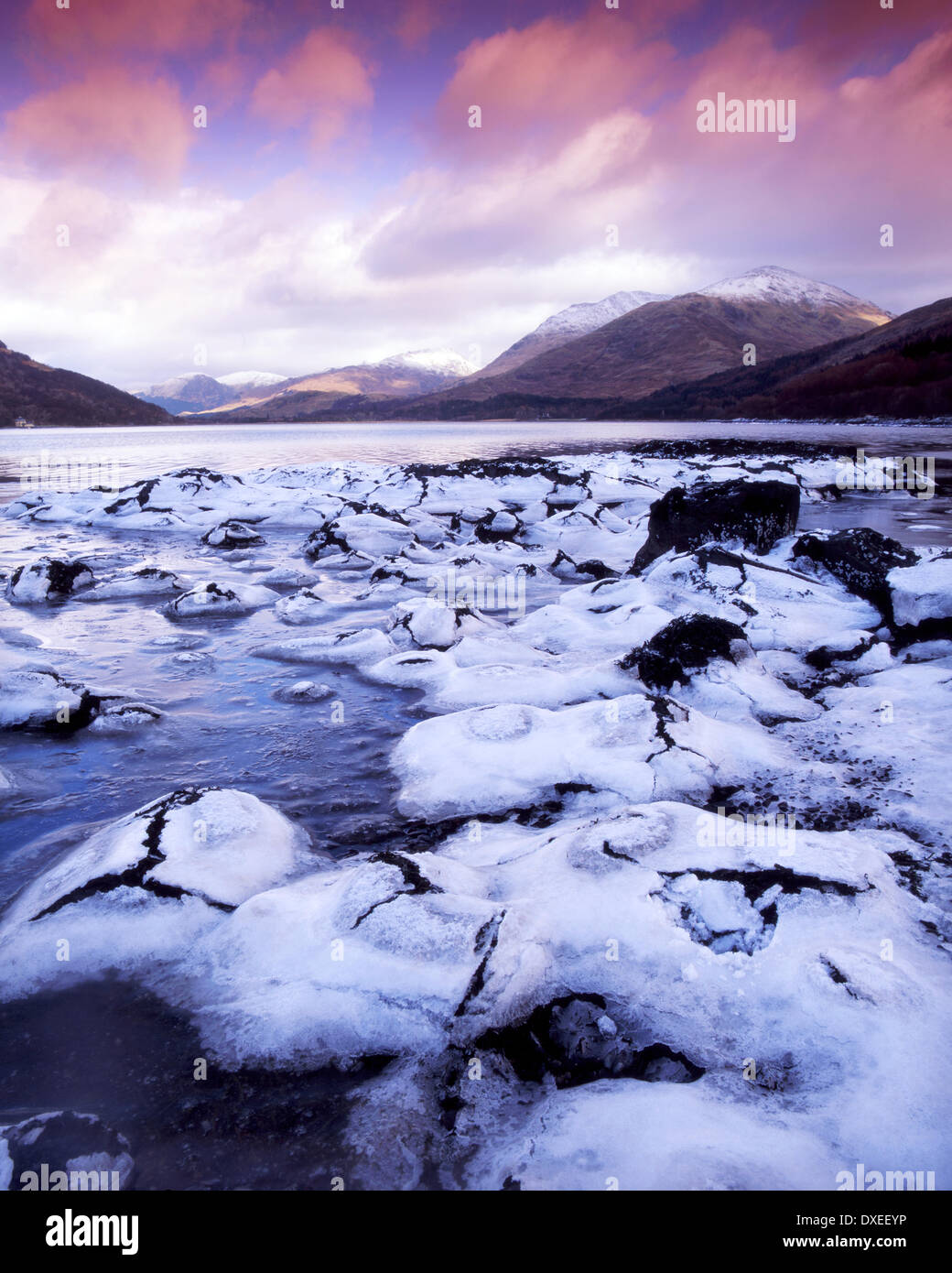 Congelati a Riva del Loch Creran, Argyll Foto Stock