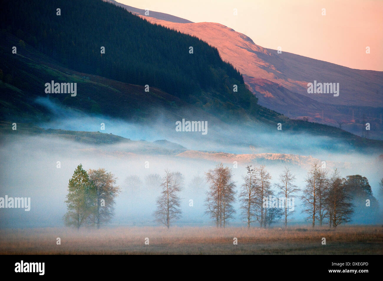 Nel tardo pomeriggio nebbie autunnali riempire glen dochart vicino a Killin,Perthshire. Foto Stock
