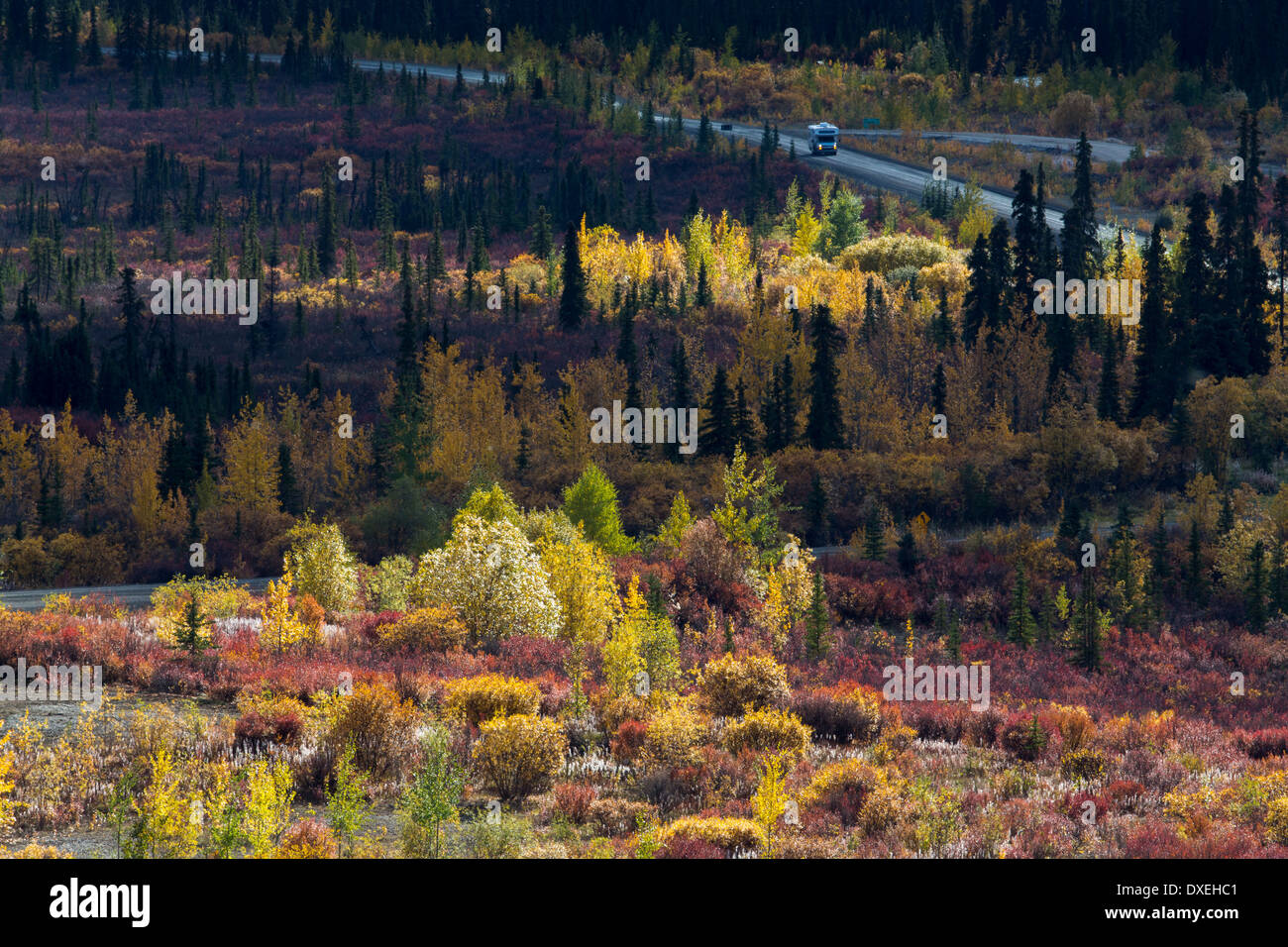 La Dempster Highway, Lapide parco territoriale, Yukon Territori, Canada Foto Stock