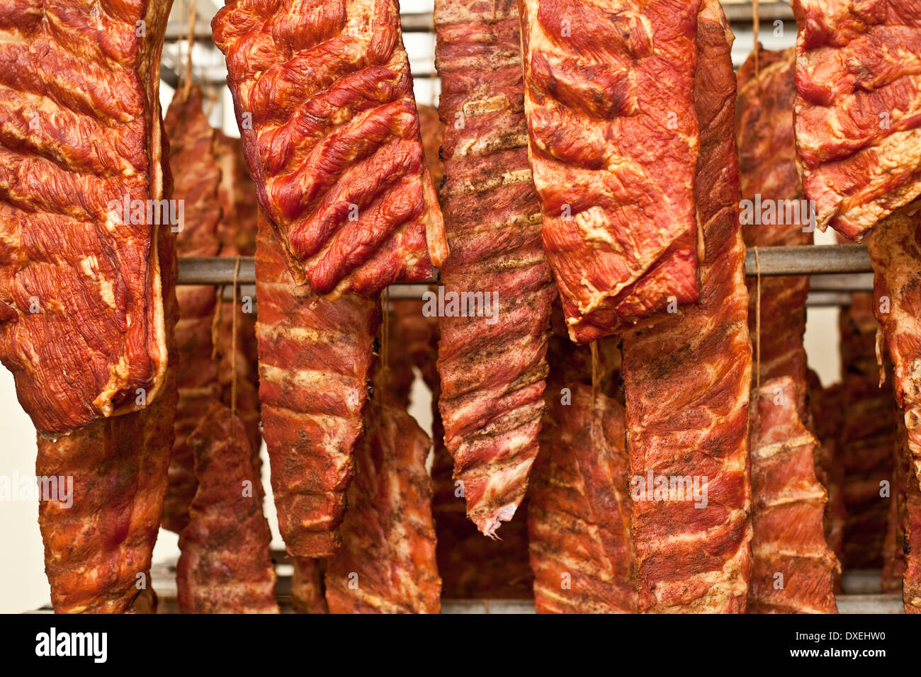 Ventresche beacon al radiatore di storage. Close-up shot. Foto Stock