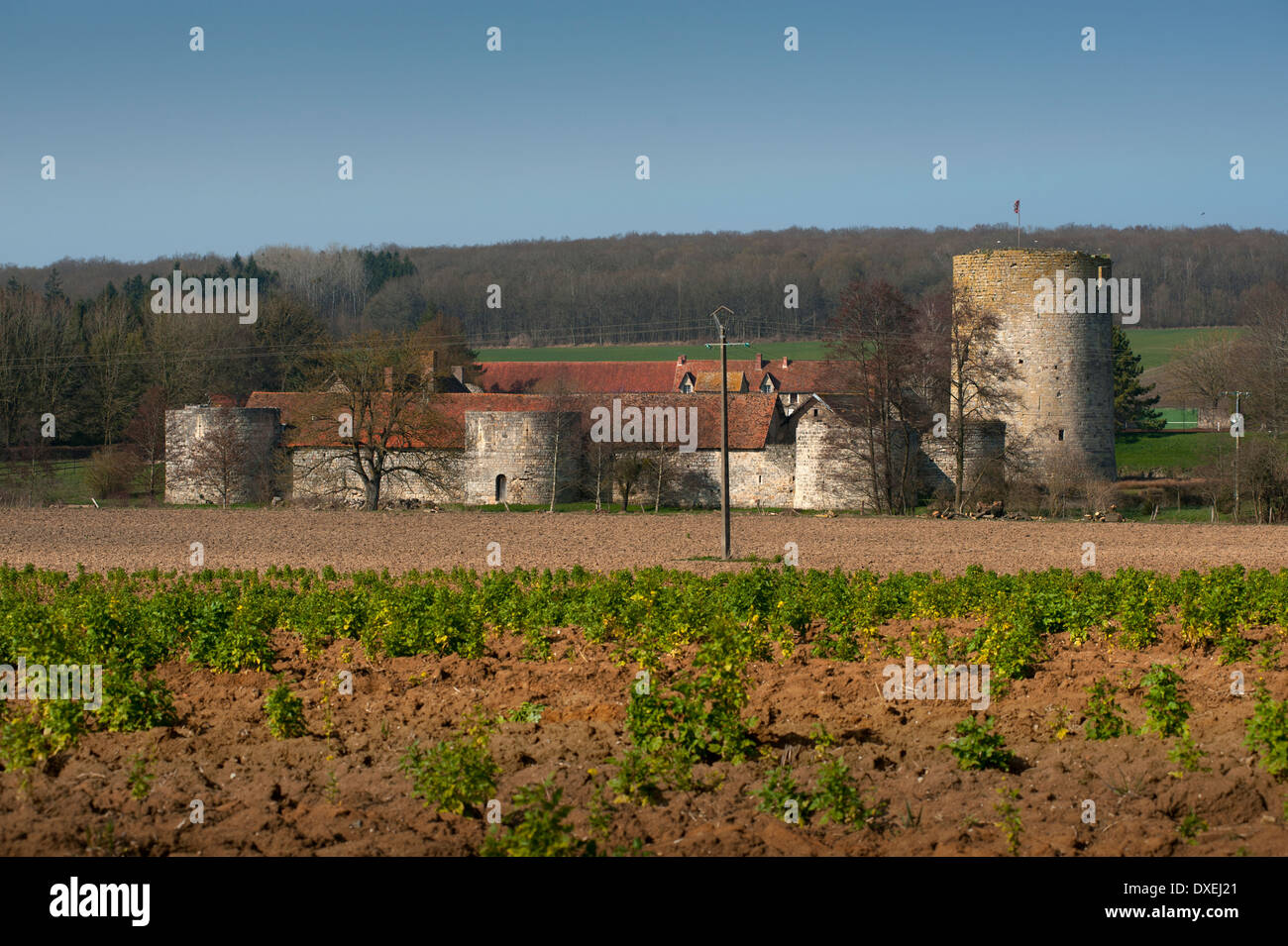 Nesles Castello, Fere-en-Tardenois, Francia. Marzo 2014 Foto Stock