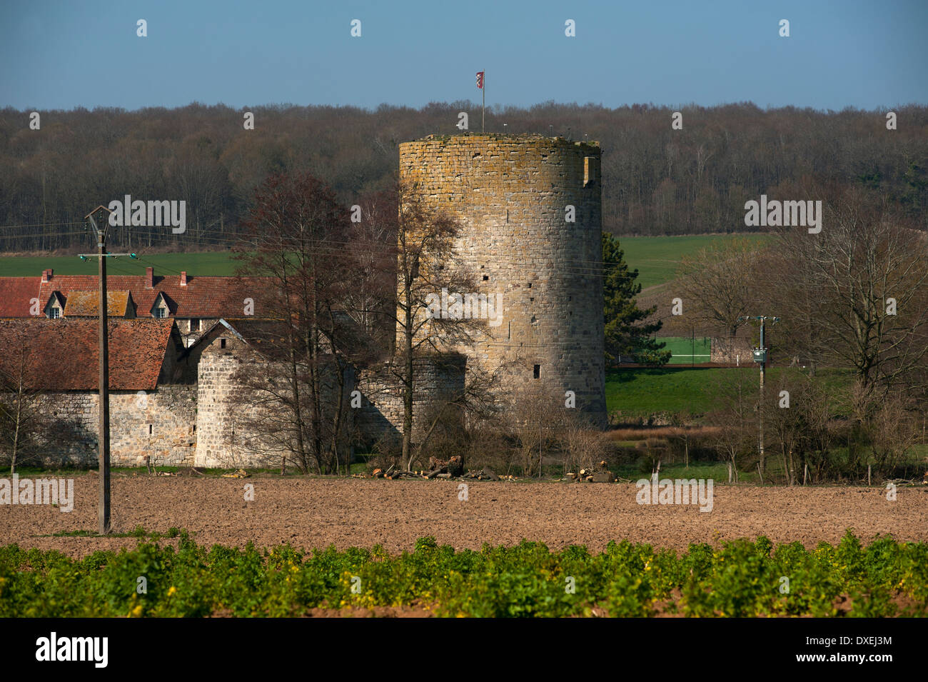 Nesles Castello, Fere-en-Tardenois, Francia. Marzo 2014 Foto Stock