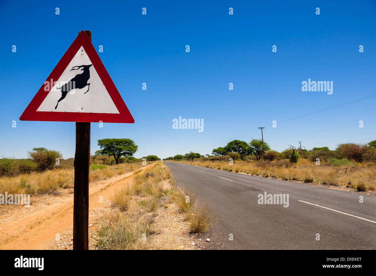 Un avvertimento cartello stradale a prendere attenzione degli animali (Kudu) attraversando la strada provocando potenziali pericoli per gli automobilisti che viaggiano. Foto Stock