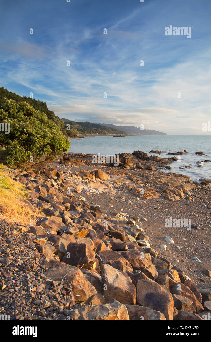 Te Mata beach, Penisola di Coromandel, Isola del nord, Nuova Zelanda Foto Stock