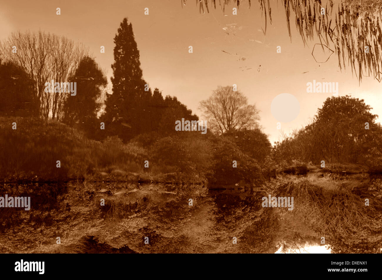 La riflessione in un lago ,a biddulph grange. Foto Stock