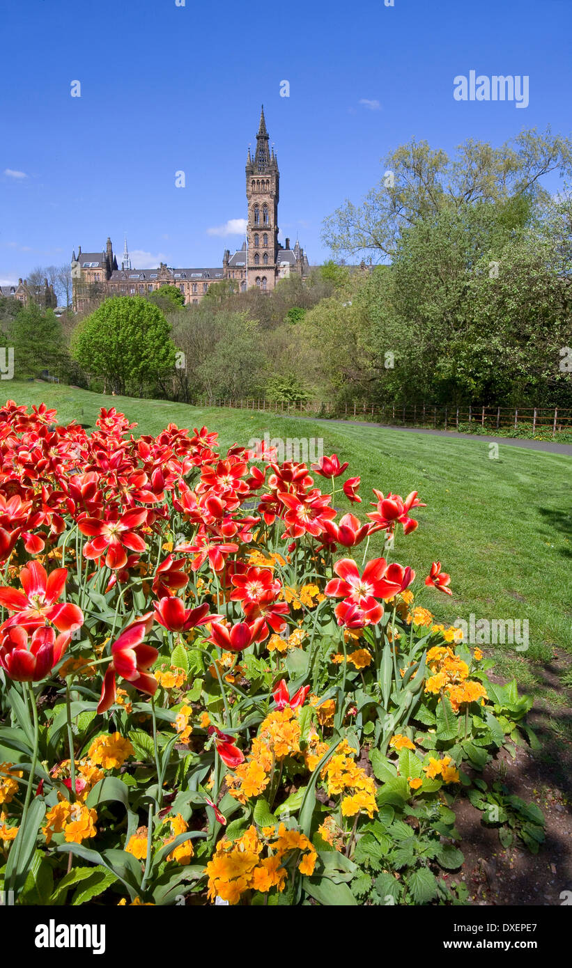 Primavera in Kelvingrove Park con Università di Glasgow in vista della città di Glasgow. Foto Stock