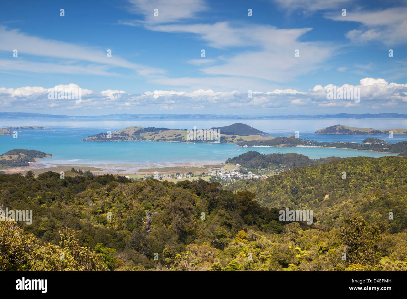 Vista del Coromandel Town e Harbour, Penisola di Coromandel, Isola del nord, Nuova Zelanda Foto Stock