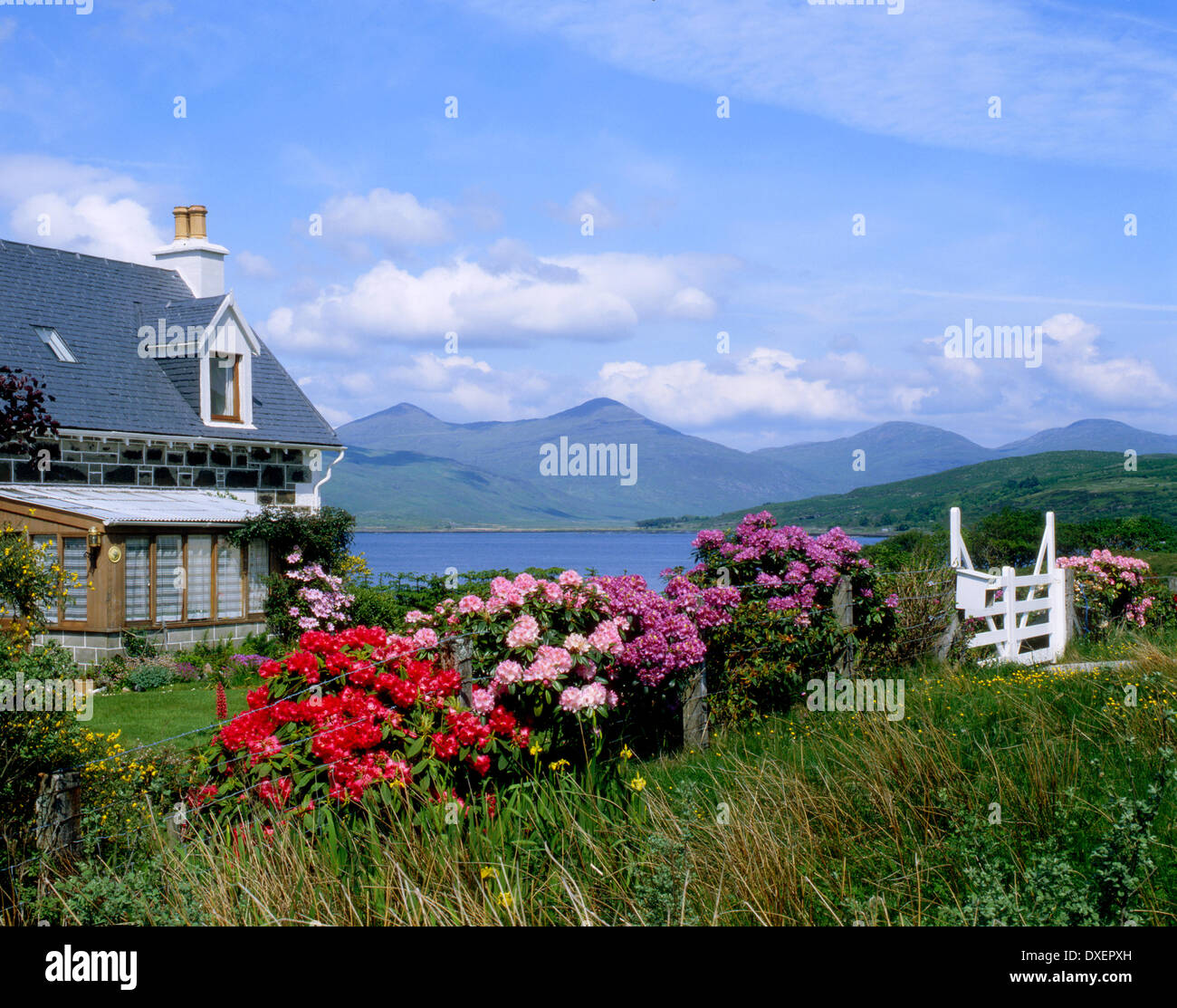 Vista estiva del cottage sulle rive di Loch Scridain,sull'isola 0f Mull. Argyll. Foto Stock