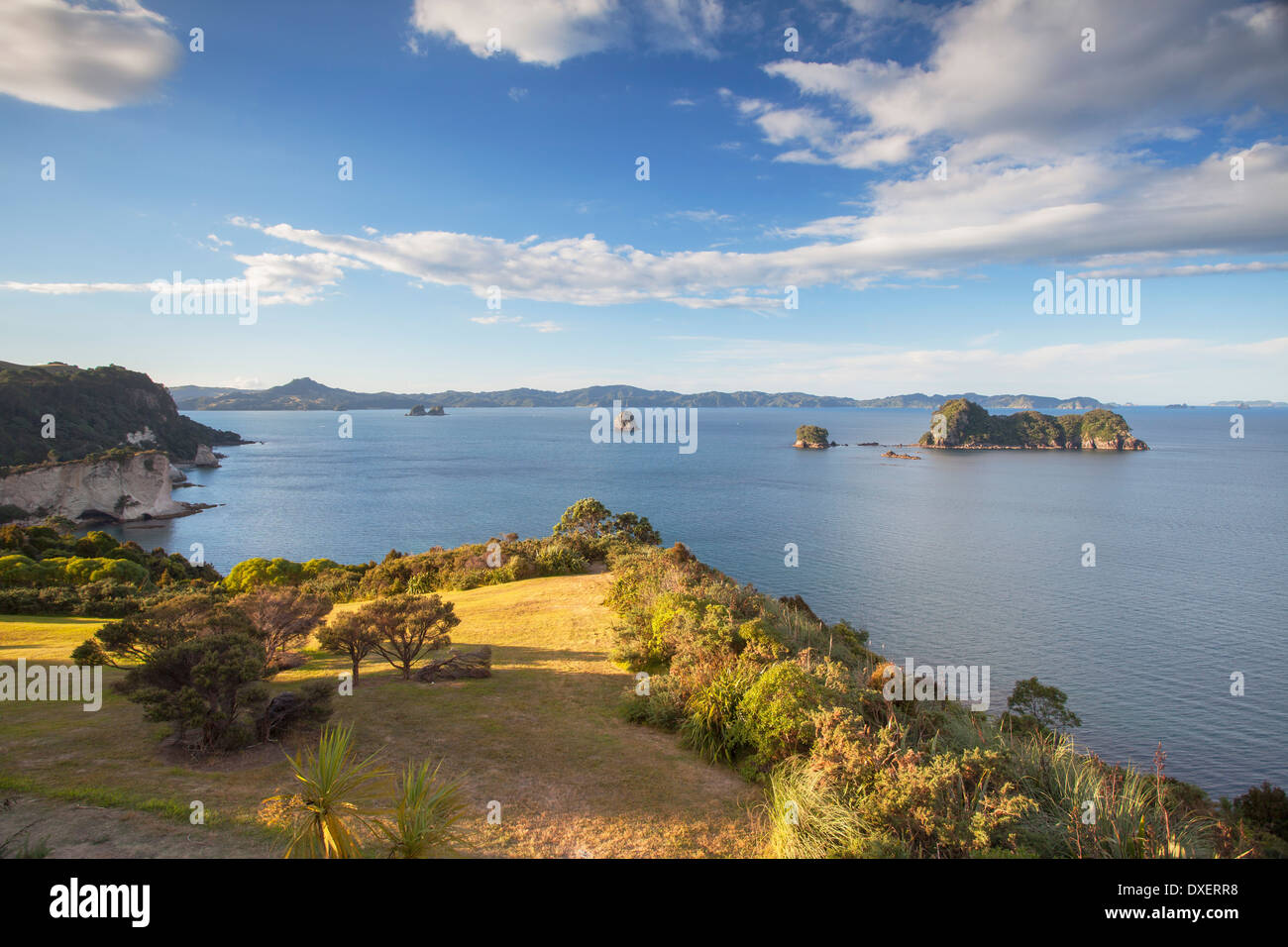 Vista del Cove della cattedrale riserva marina (Te Whanganui-A-Hei), Penisola di Coromandel, Isola del nord, Nuova Zelanda Foto Stock