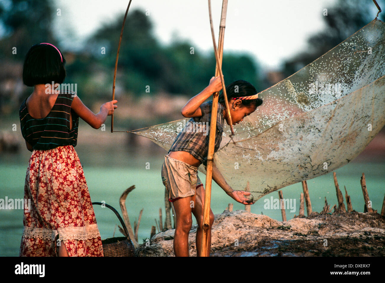 Laos bambini rete da pesca poli di bambù riverbank alberi sunshine fiume acqua blu Ragazzi Ragazze Foto Stock