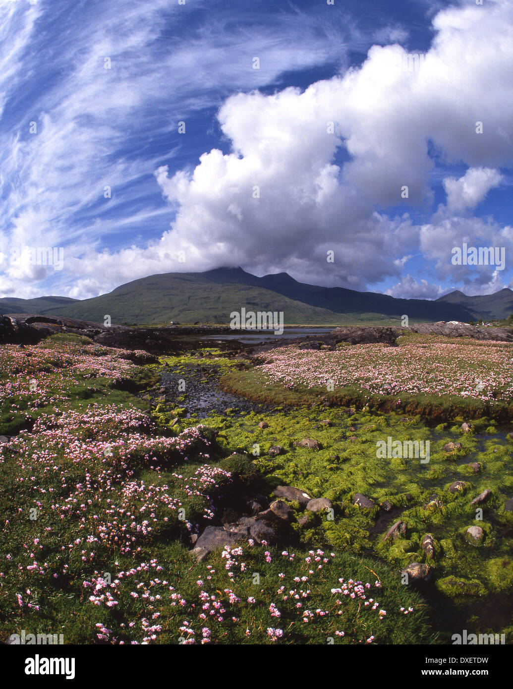 Ben più fom sul Loch Scridain, Mull, Argyll Foto Stock