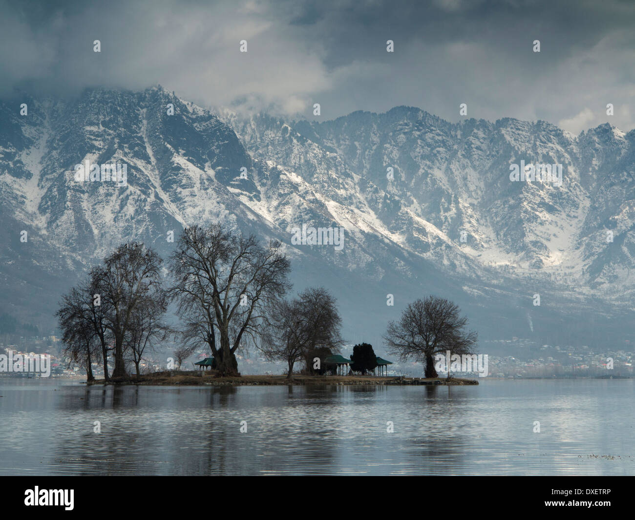 India, Kashmir Srinagar, Char Chinar isola su dal lago Foto Stock