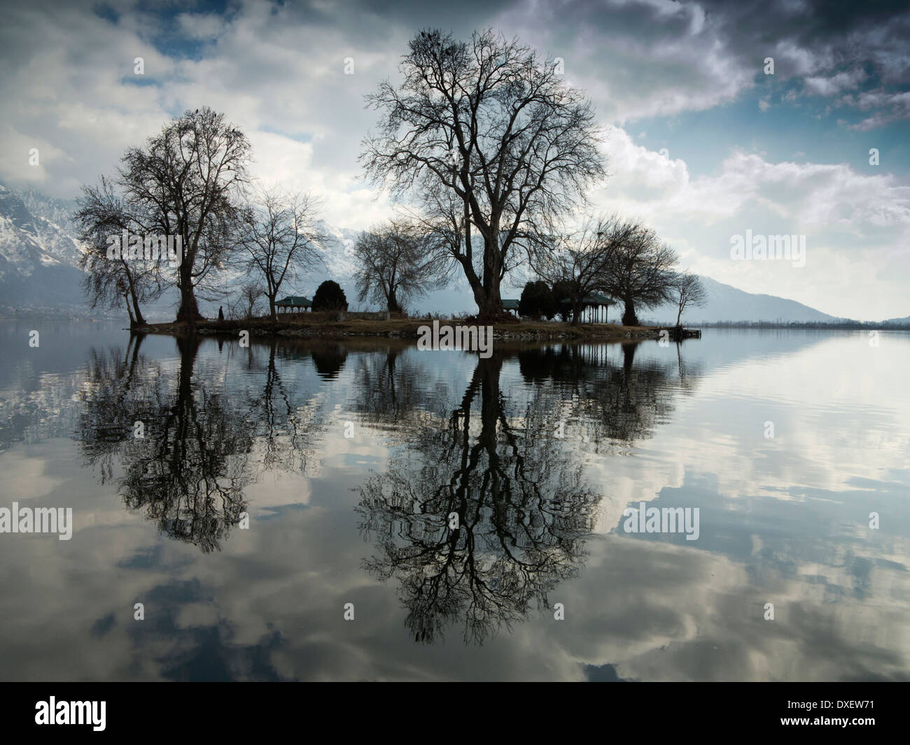 India, Kashmir Srinagar, Char Chinar isola su dal lago Foto Stock
