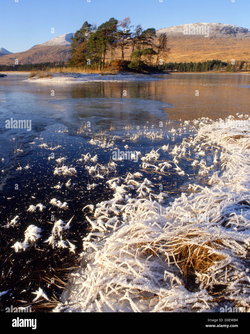 Scena invernale sulle rive di Loch Tulla con blackmount in vista, West Highlands Foto Stock