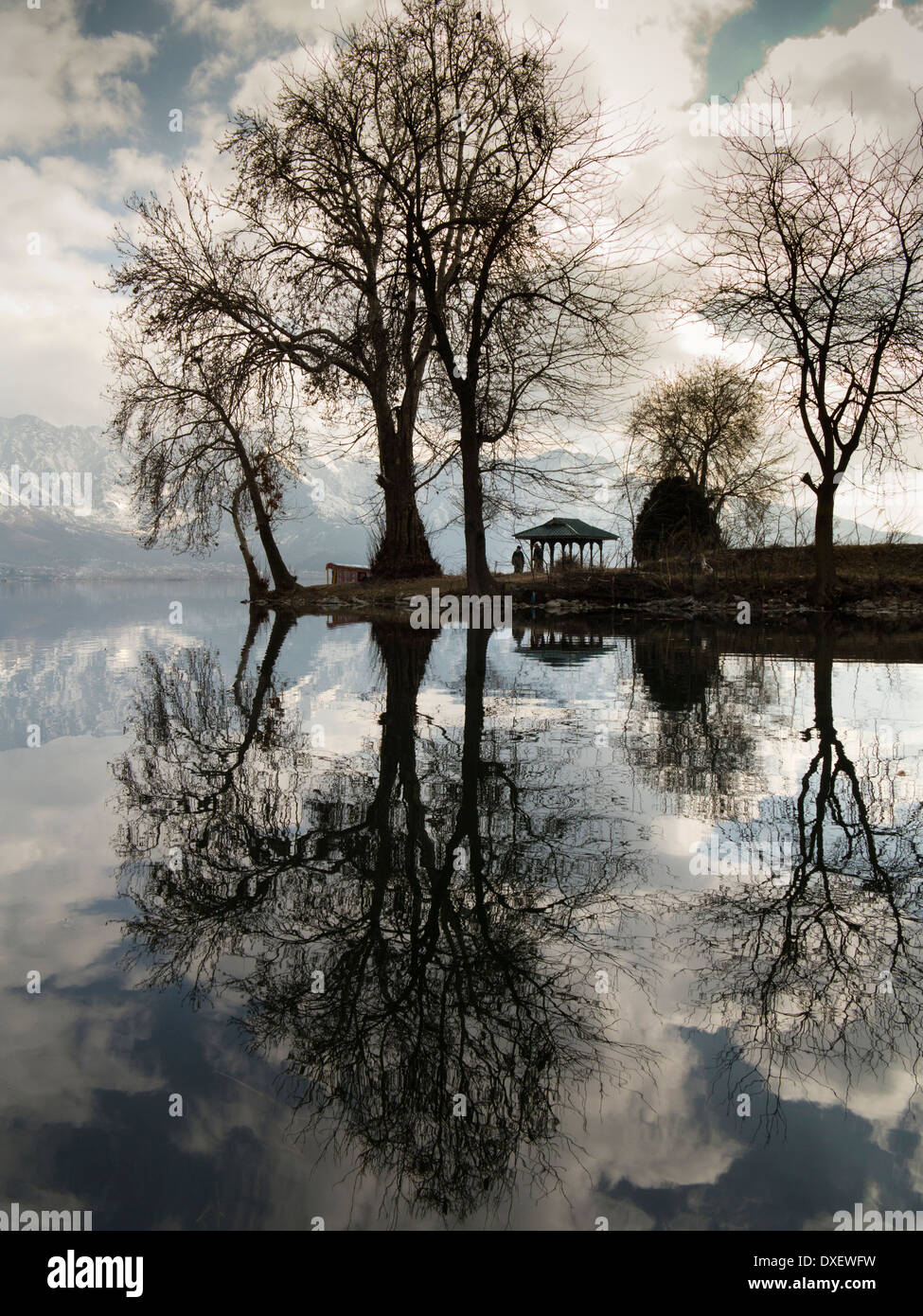 India, Kashmir Srinagar, Char Chinar isola su dal lago Foto Stock