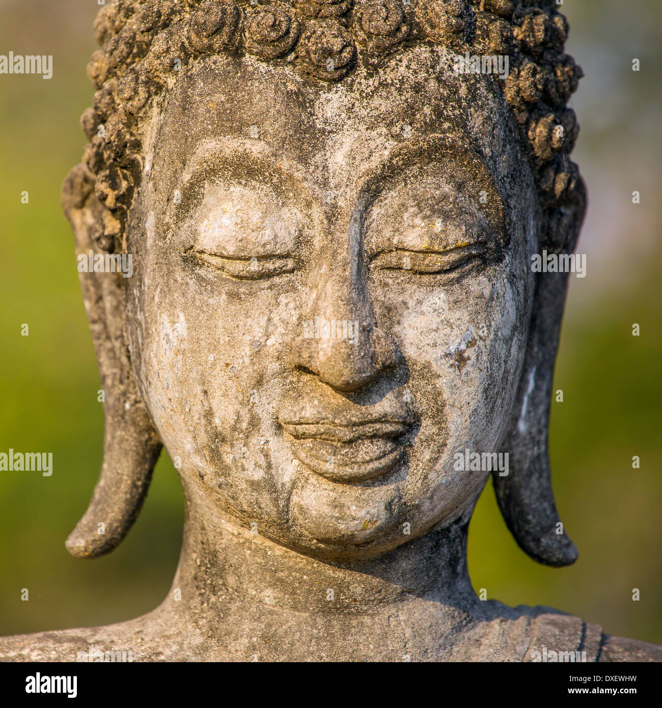 Pietra testa di Buddha statua close-up Foto Stock