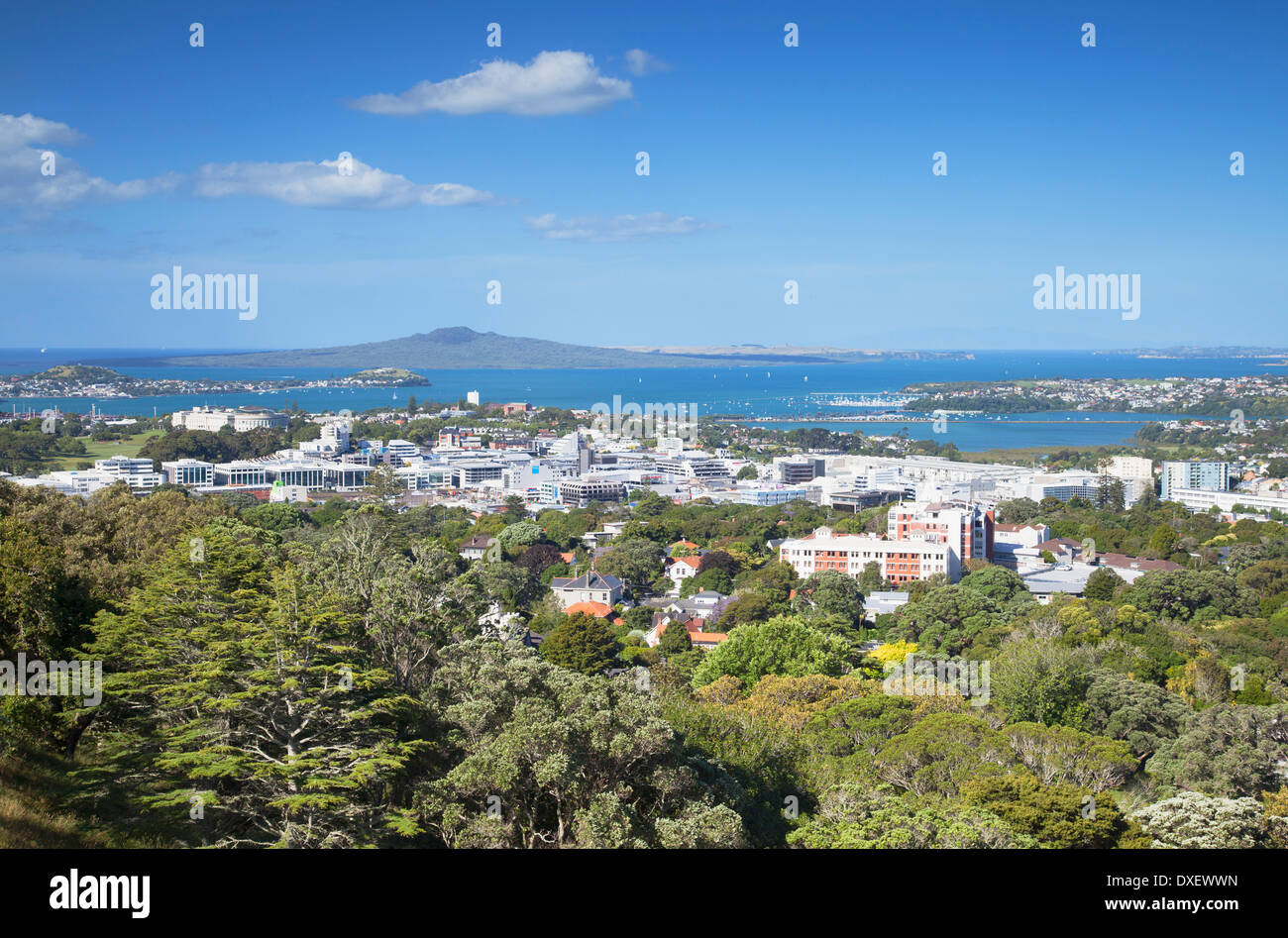Vista di Parnell con Rangitoto Island in background, Auckland, Isola del nord, Nuova Zelanda Foto Stock