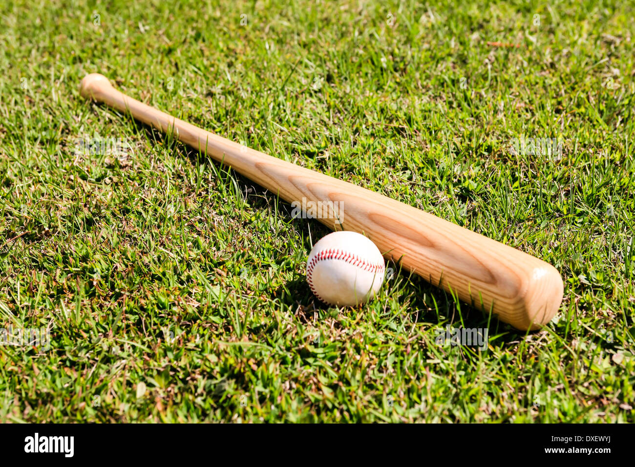 Concetto foto di una mazza da baseball e bianco palla di cuoio Foto Stock