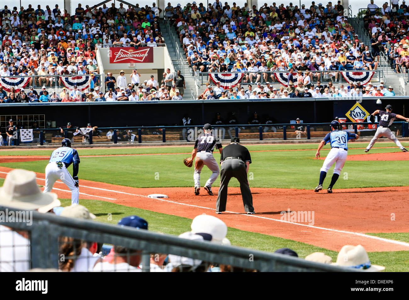 Ricche di azione giorno a Tampa Bay Rays e NY Yankee di baseball gioco in FL Foto Stock