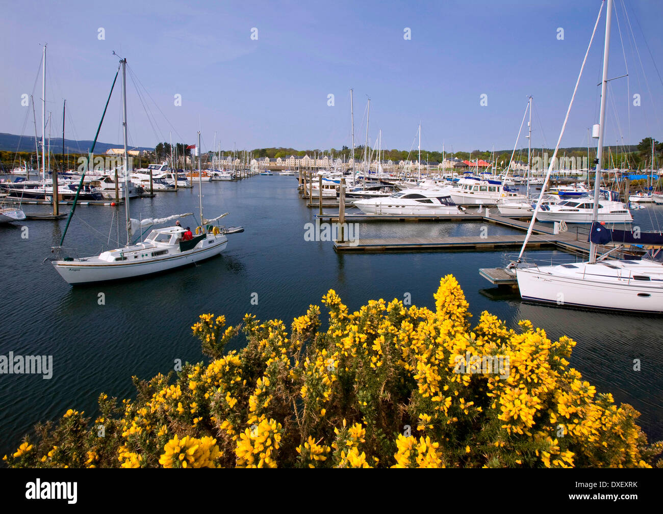 Kip Marina, Renfrewshire, Scozia. Foto Stock