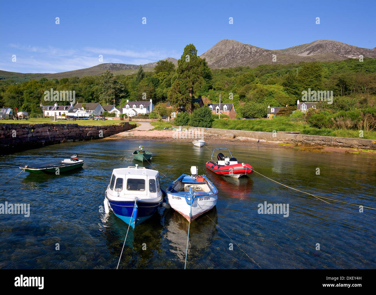 Capra è sceso dal Corrie Harbour, isola di Arran Foto Stock