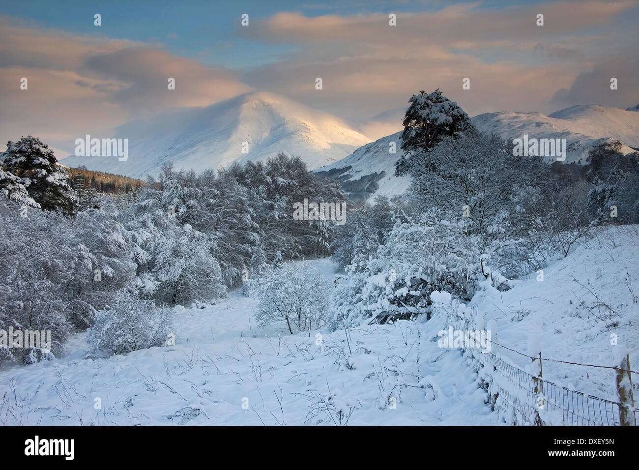 Vista invernale verso Ben più, Crianlarich. Foto Stock