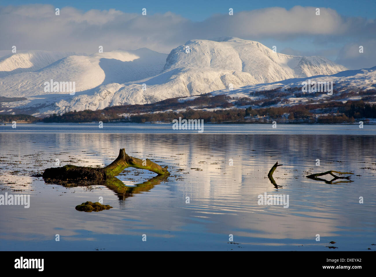 Ben Nevis dal sul Loch Eil, Lochaber, Highlands Scozzesi. Foto Stock