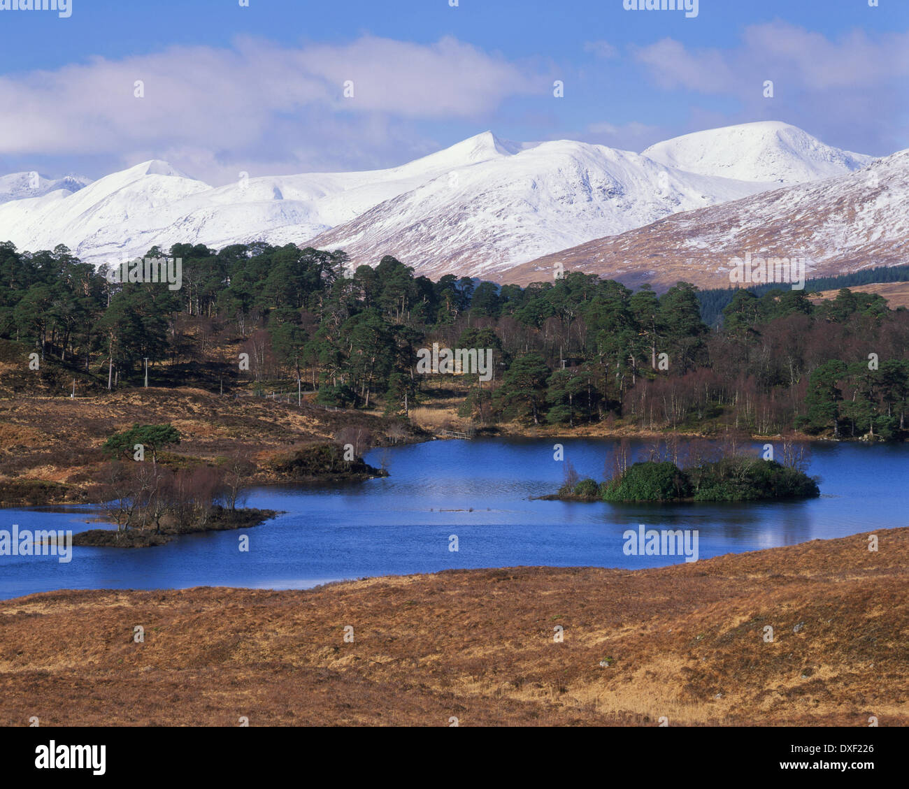 Lokking ad ovest verso il Loch Tulla, West Highlands Foto Stock