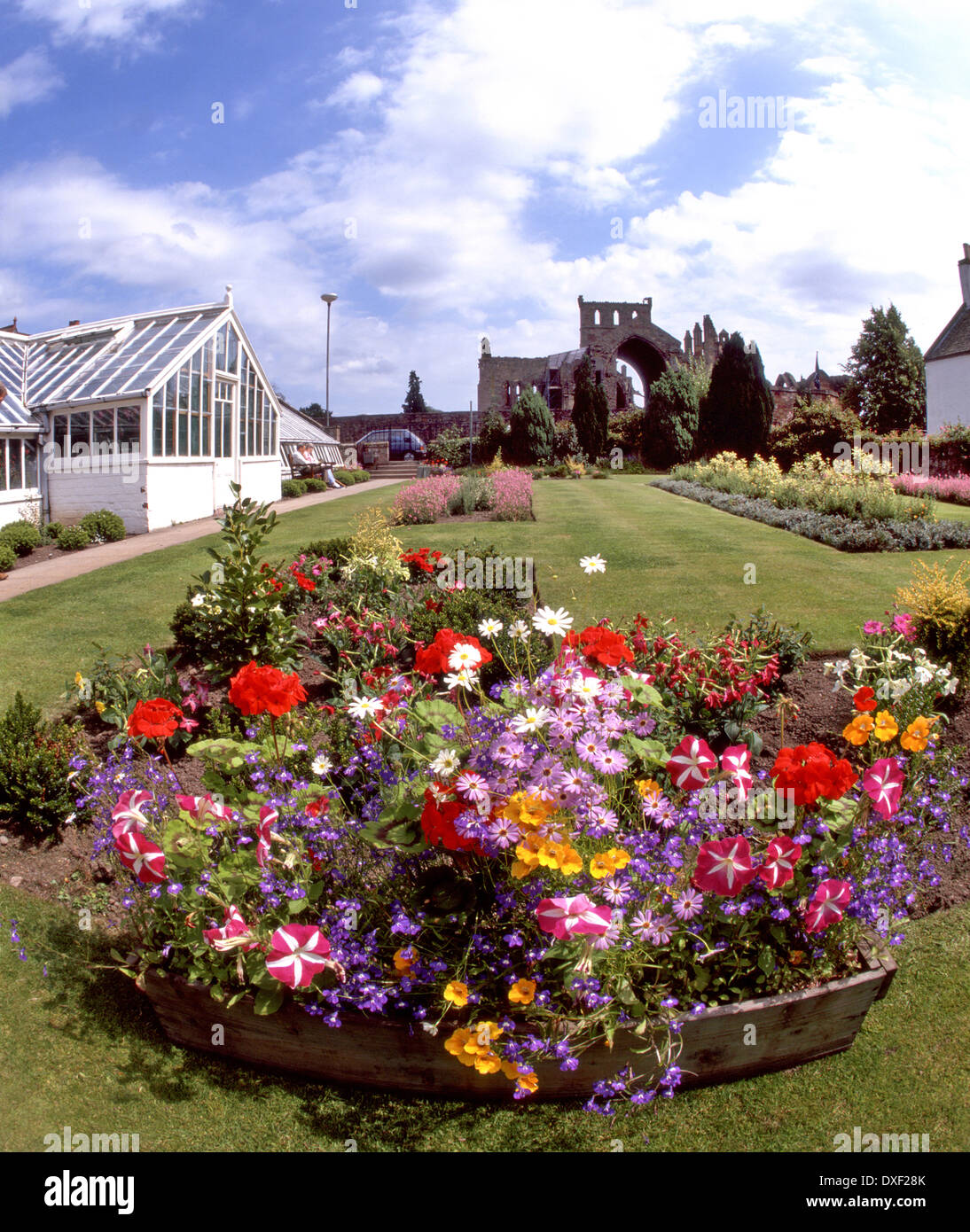 Melrose Abbey rovine da Abbey Gardens, Melrose, Scottish Borders. Foto Stock