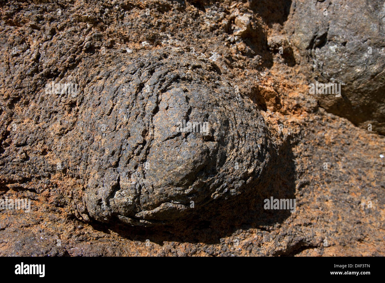 Resistenza agli agenti atmosferici di sferoidali di dolerite roccia vulcanica come si trova in a Ardnamurchan Argyll. Foto Stock