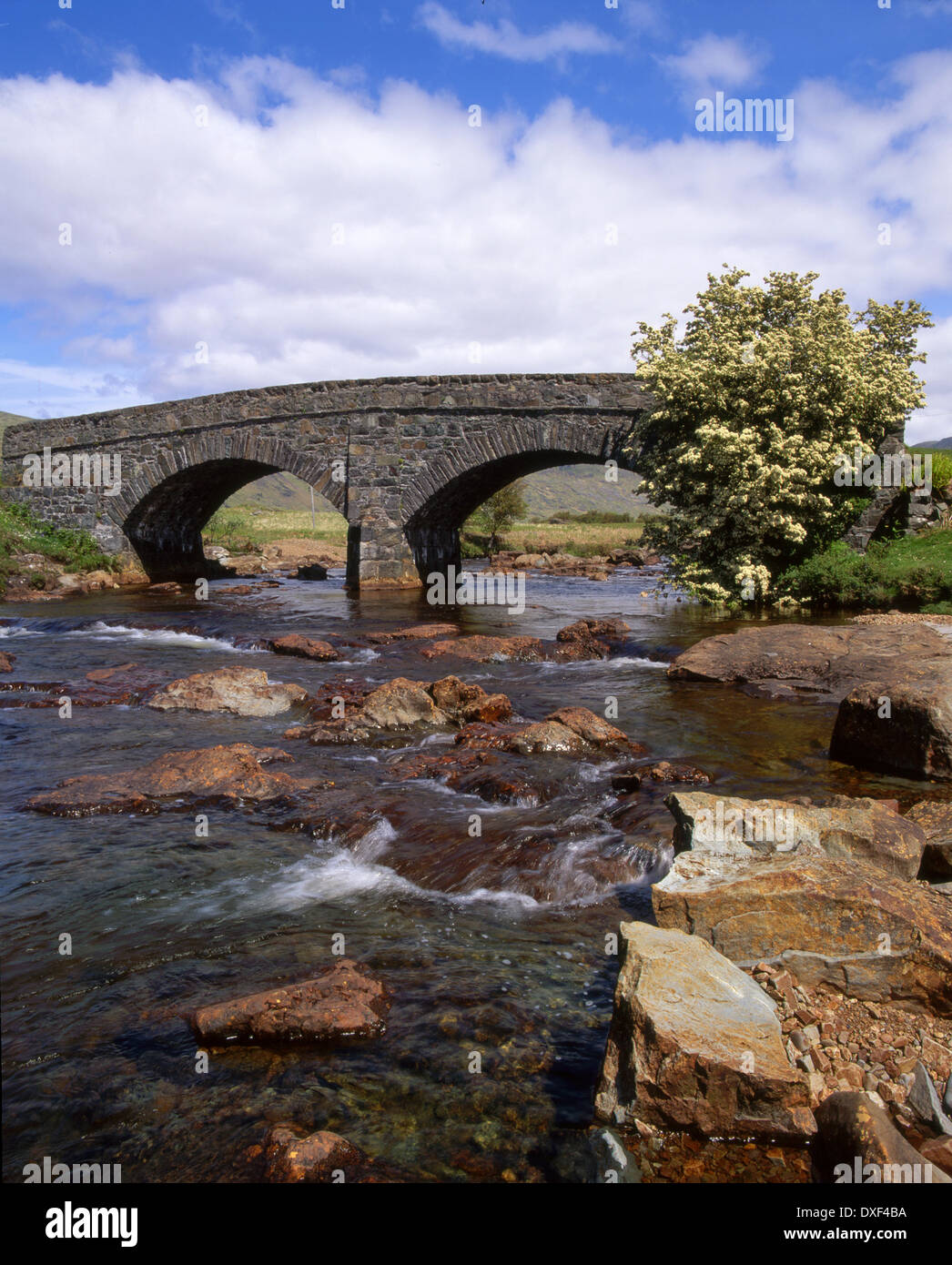 Glen più vicino Aird di Kinloch, Isle of Mull Foto Stock