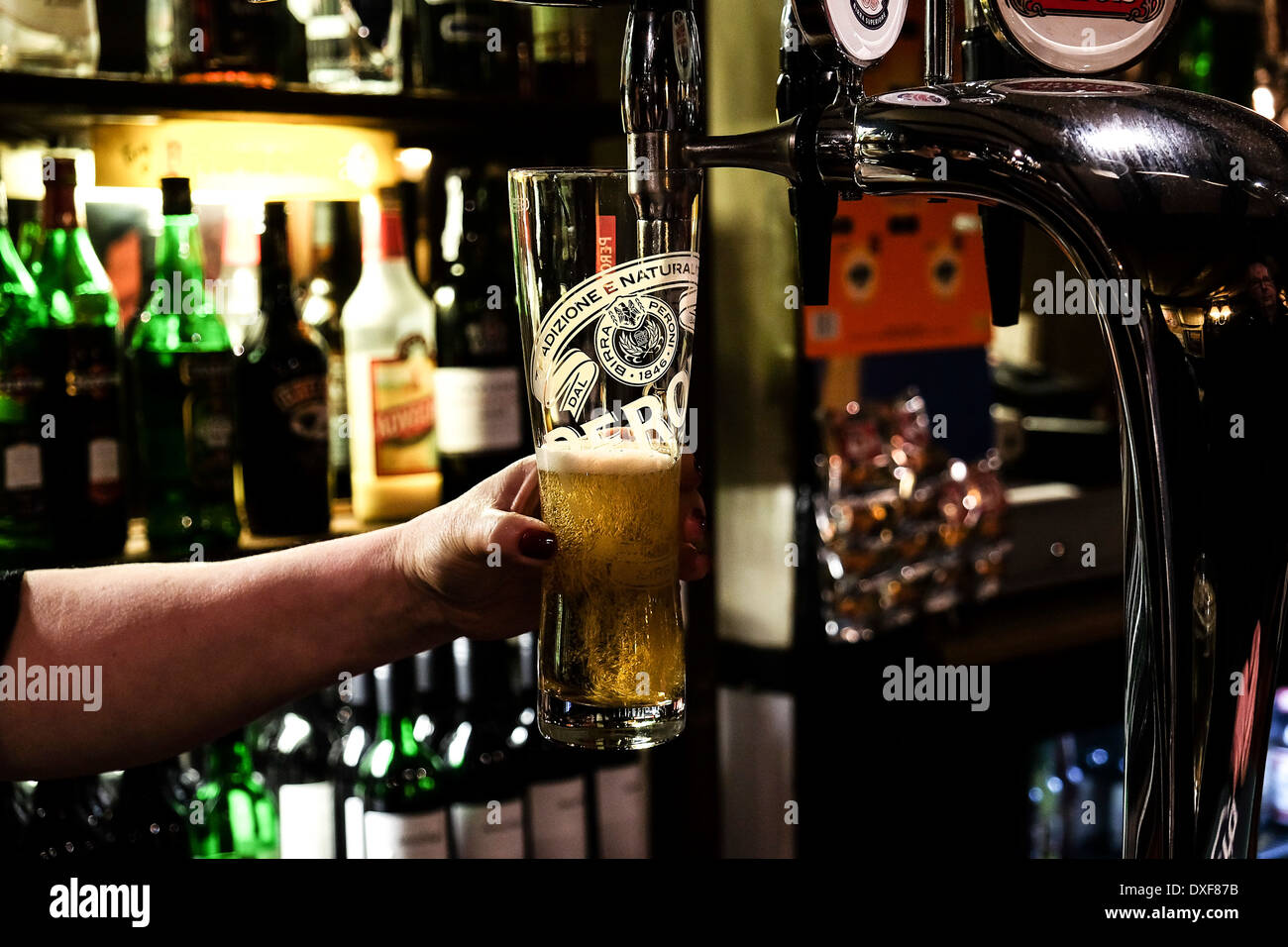 Una pinta della Peroni che viene versato dal lavoratore bar. Foto Stock