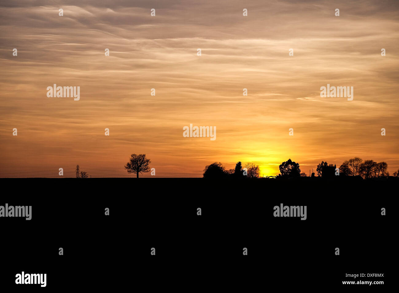 Tramonto su campi in Essex. Foto Stock