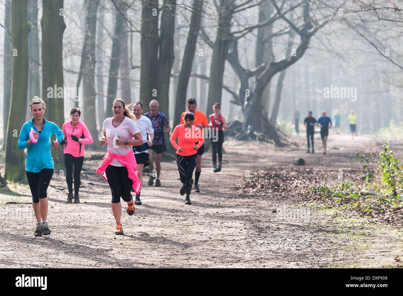 Per chi ama fare jogging in esecuzione in un bosco. Foto Stock