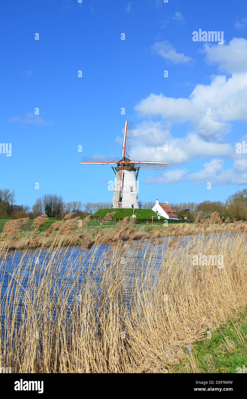 Il vecchio mulino a vento a Damme, nei pressi di Bruges, Fiandre, in Belgio Foto Stock
