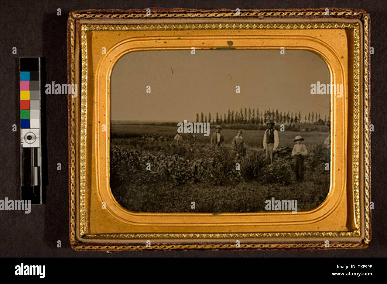 La famiglia (6 persone) in piedi in campo, casa di famiglia a distanza (sei persone in piedi in campo, casa a distanza Foto Stock