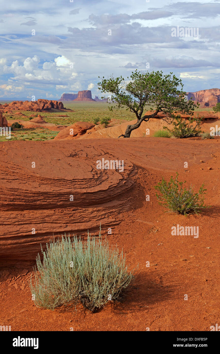 Pietra arenaria rossa, Mistero Valley, Arizona, Stati Uniti d'America Foto Stock