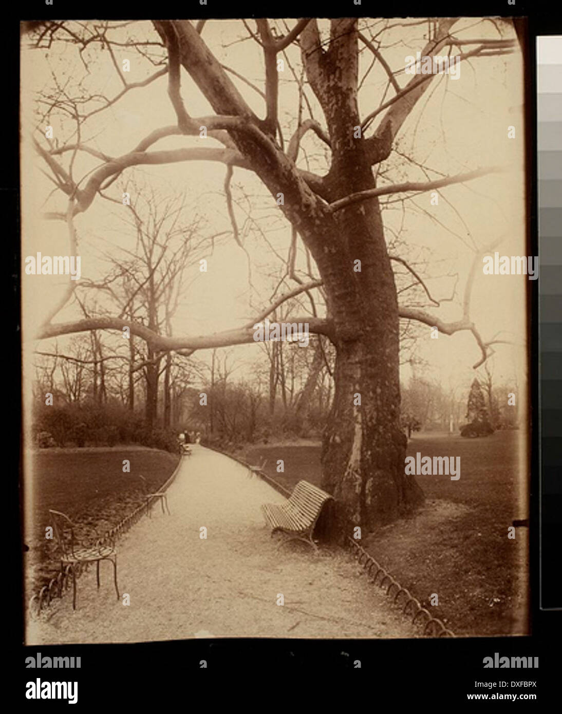 Questa fotografia d'epoca cattura una vista storica del Parc Monceau a Parigi, situato nell'ottavo arrondissement. L'immagine riflette il design del parco e la sua popolarità come spazio ricreativo nei tempi passati. Foto Stock
