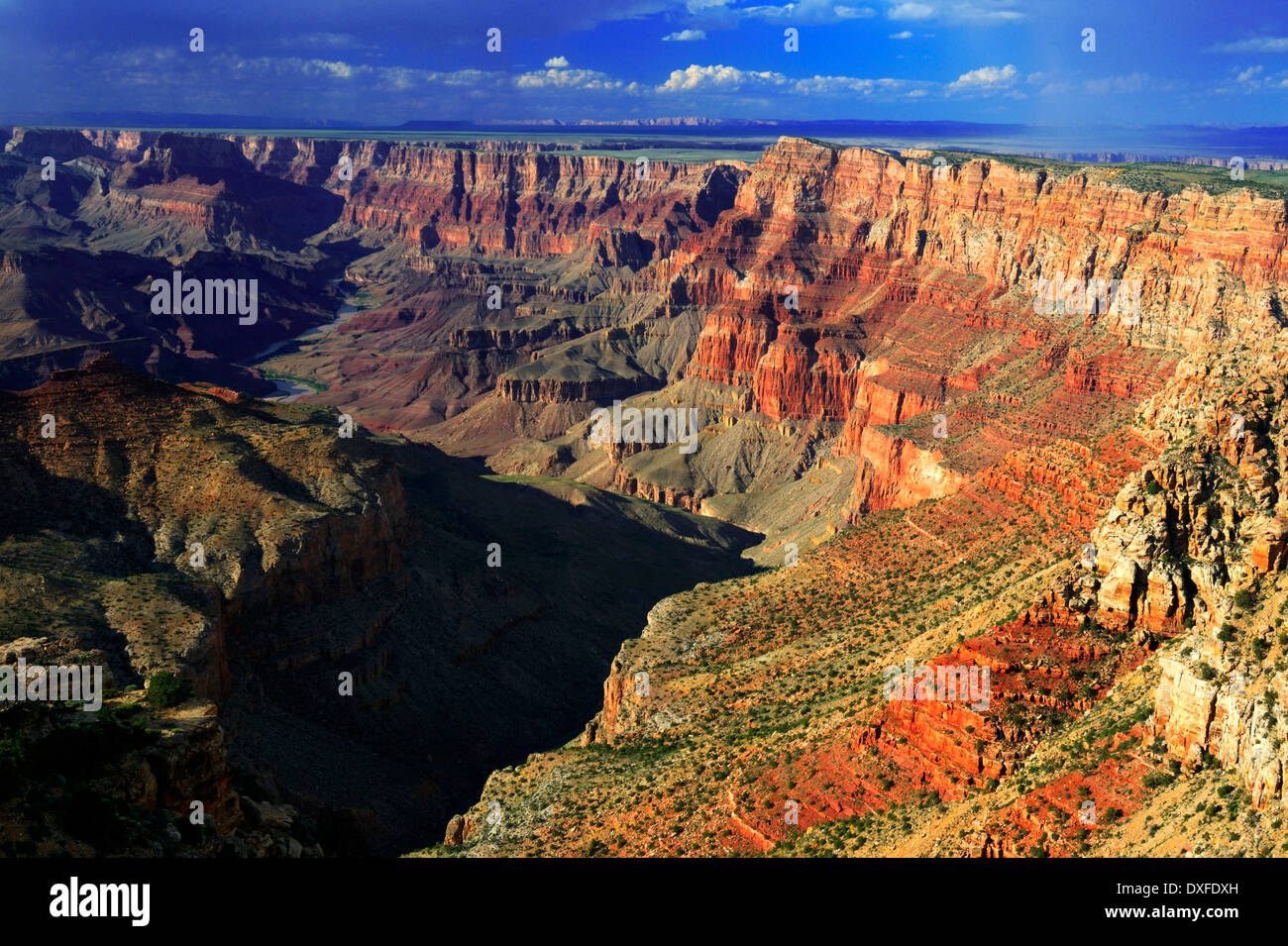 South Rim, Navajo Point, il Parco Nazionale del Grand Canyon, Arizona, Stati Uniti d'America Foto Stock
