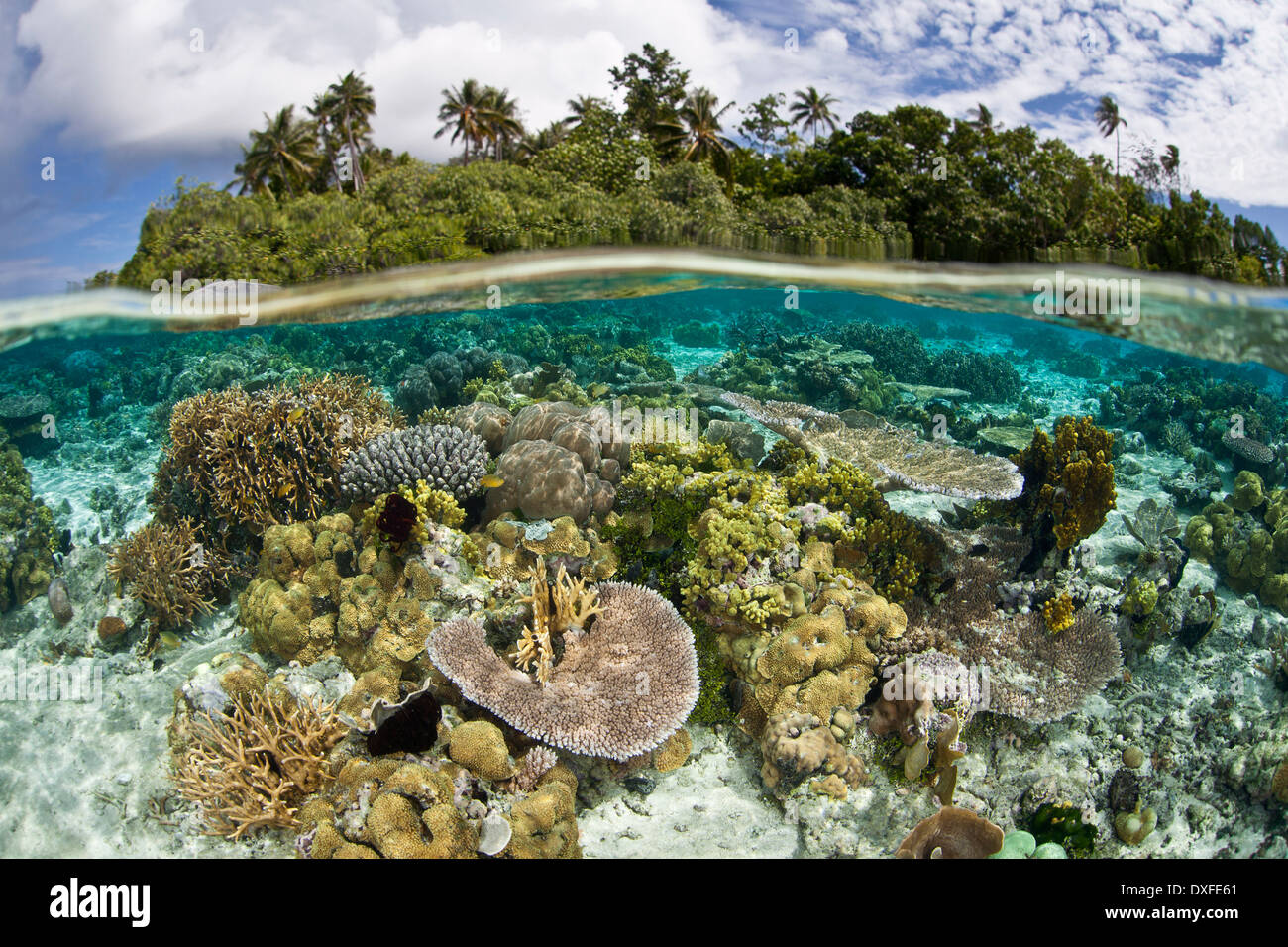 Laguna di isola tropicale, Melanesia, Oceano Pacifico Isole Salomone Foto  stock - Alamy