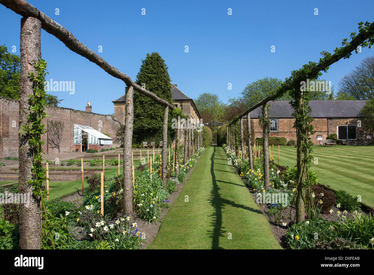 Un grande paese walled garden in primavera nel North Yorkshire nel Regno Unito. Foto Stock