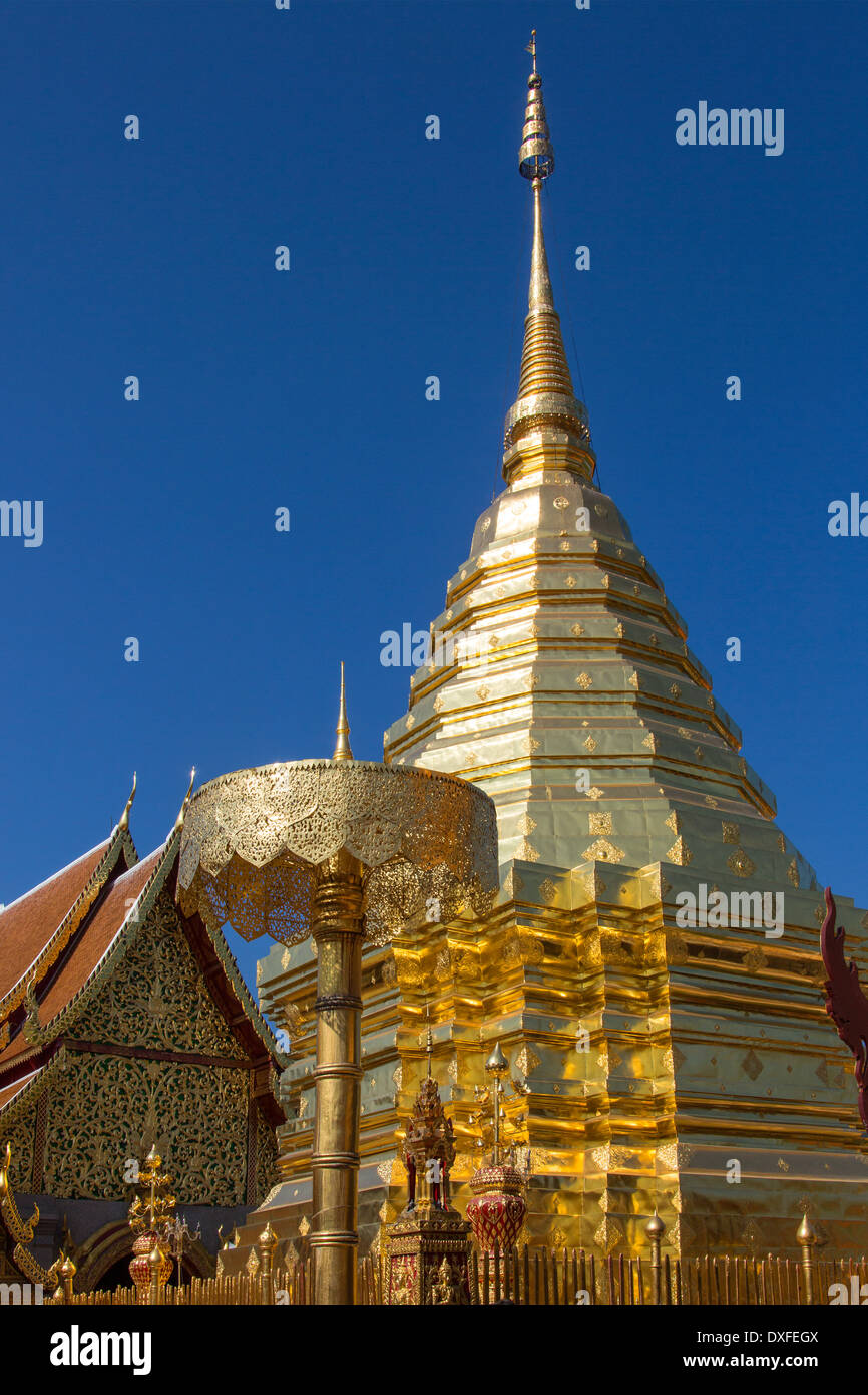 Il principale stupa al Doi Suthep tempio Buddista vicino a Chiang Mai nel nord della Thailandia Foto Stock