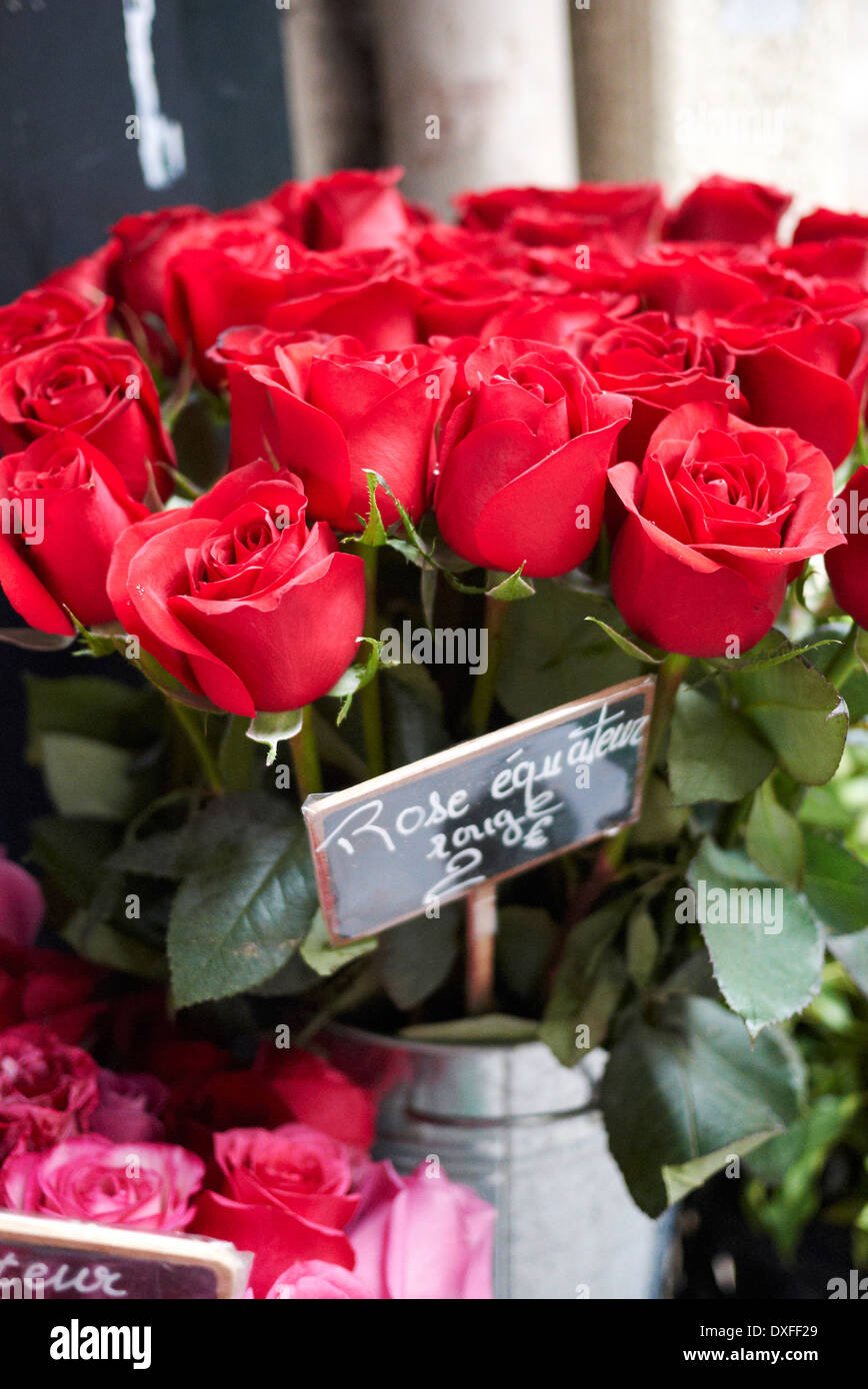 Close-up di mazzo di rose rosse per la vendita, Parigi, Francia Foto Stock