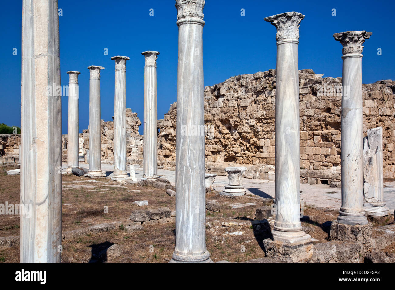 Salamina è stato costruito dai romani e in seguito divenne bizantina e di Constantia fu distrutta dagli arabi nel 648 d.c. Foto Stock