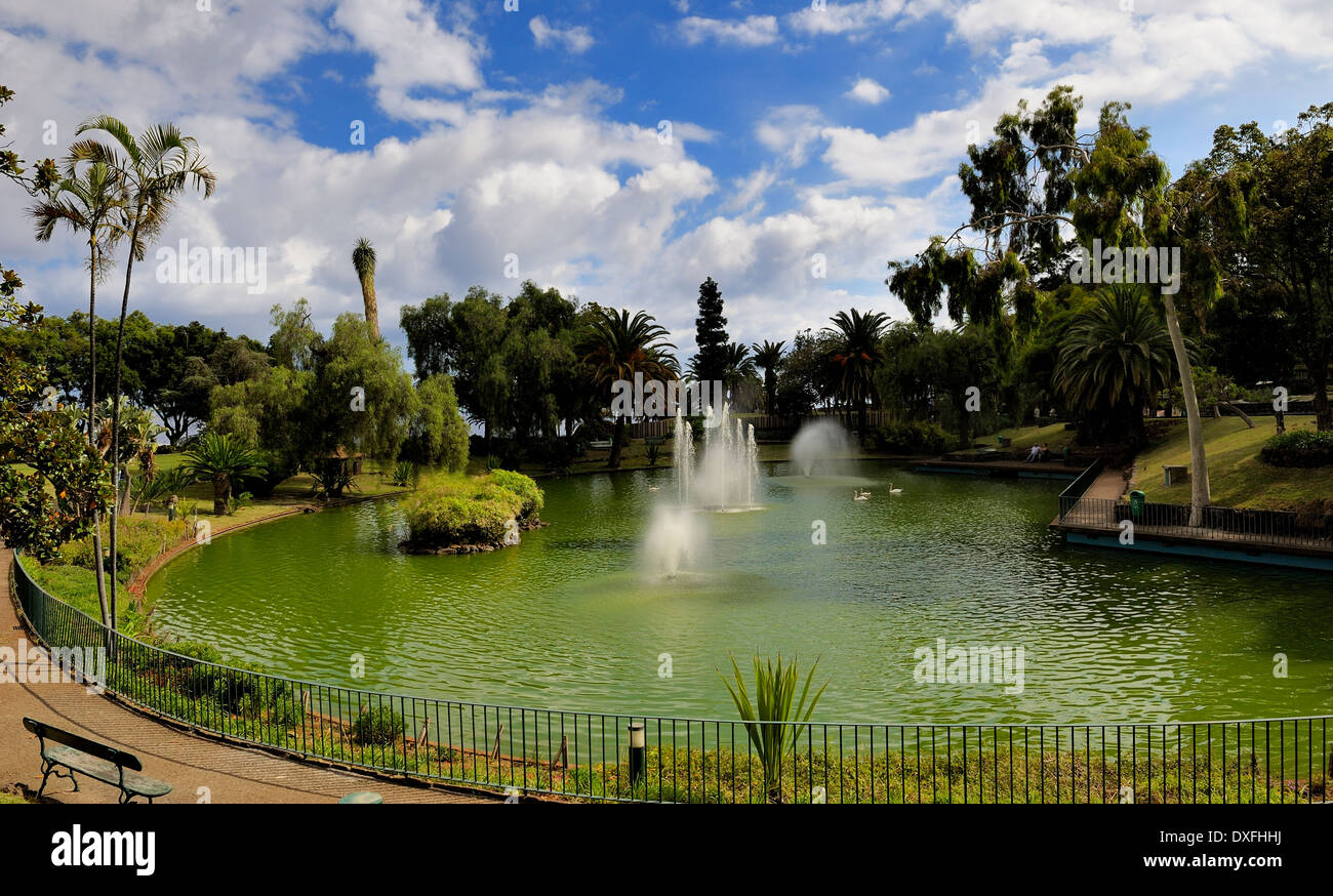 Funchal Madeira Portogallo Parque de Santa Catarina Foto Stock