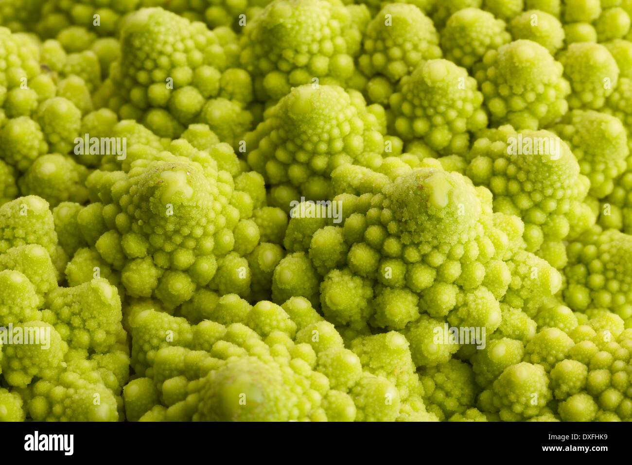 Cavolo broccolo romanesco macro Foto Stock