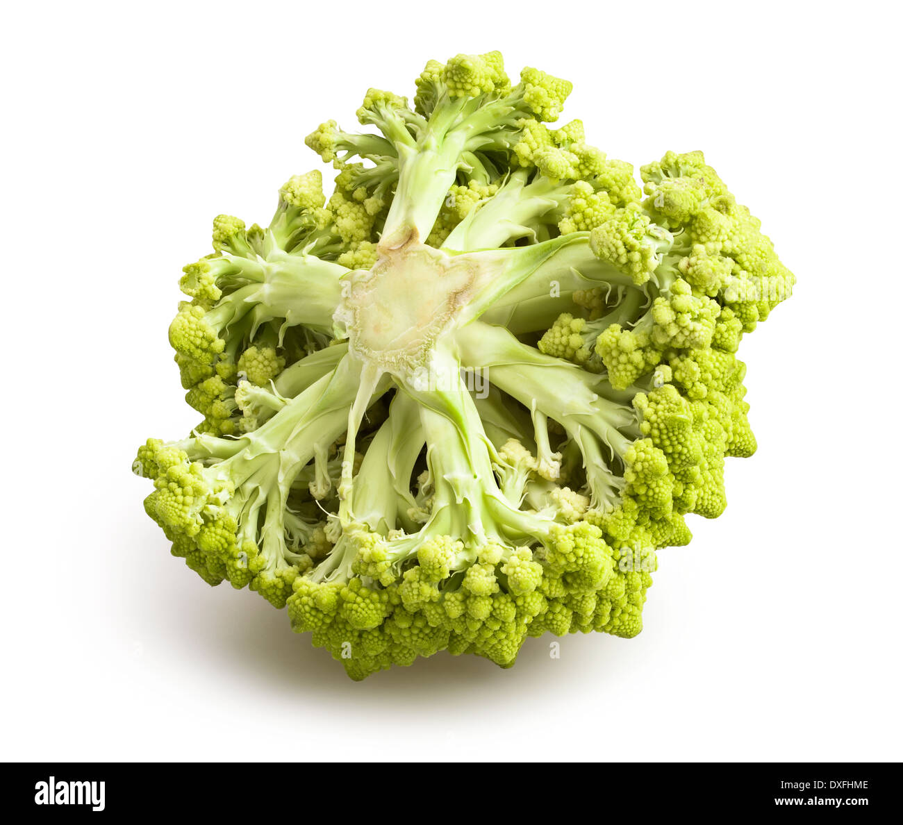 Cavolo broccolo romanesco isolato Foto Stock